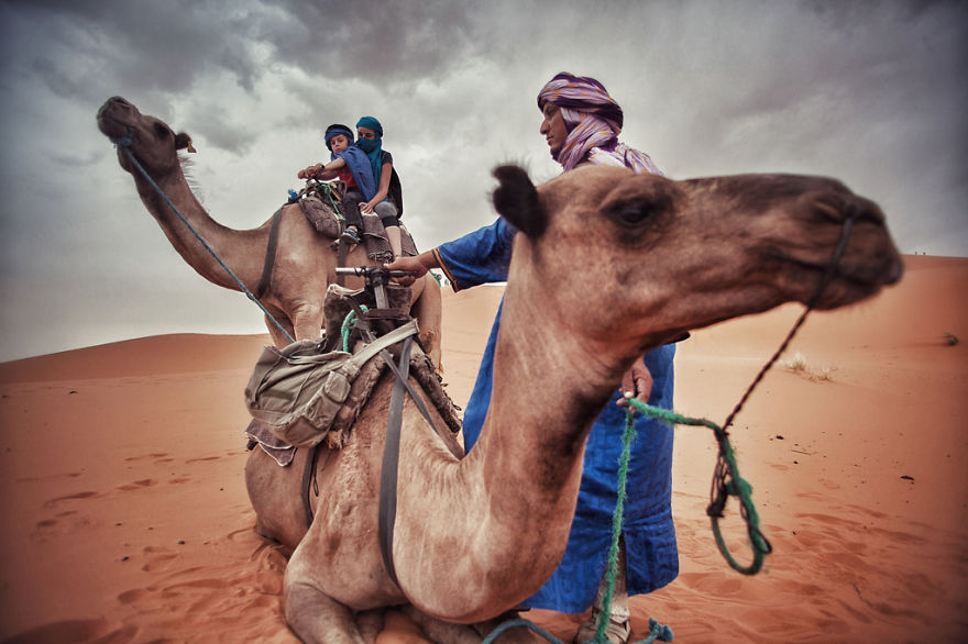 Camel riding in the Sahara, Merzouga (Morocco)