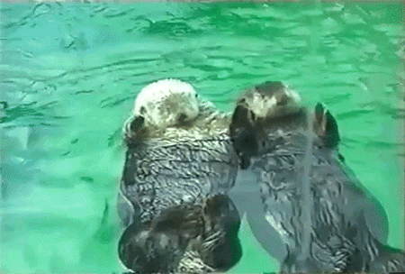 otter