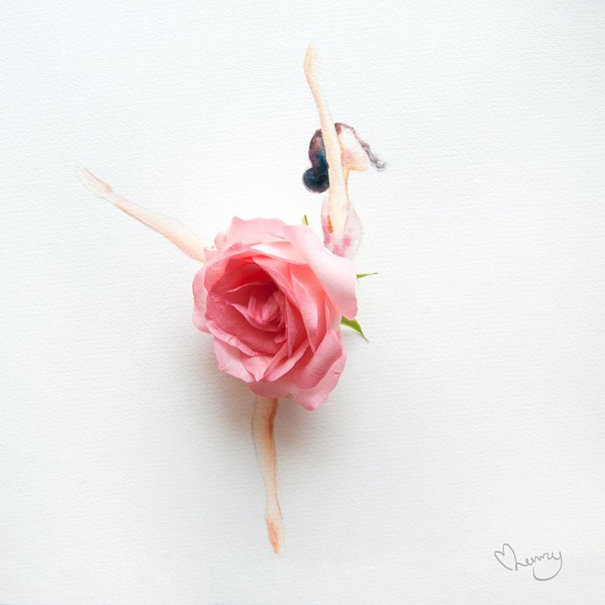 LimZhiWei-Beautifull-Illustrations-using-Real-Flowers-01