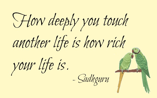 parrot-quote - Copy