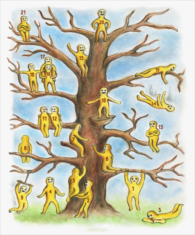 treeimage