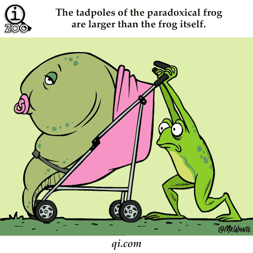 Animal Facts You Never Knew