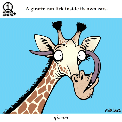 Animal Facts You Never Knew