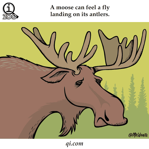 Animal Facts You Never Knew