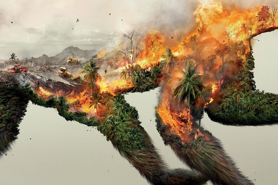 Destroying Nature is Destroying Life forest fires