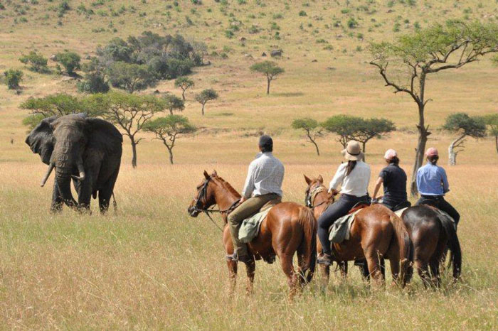 Horseback-safari