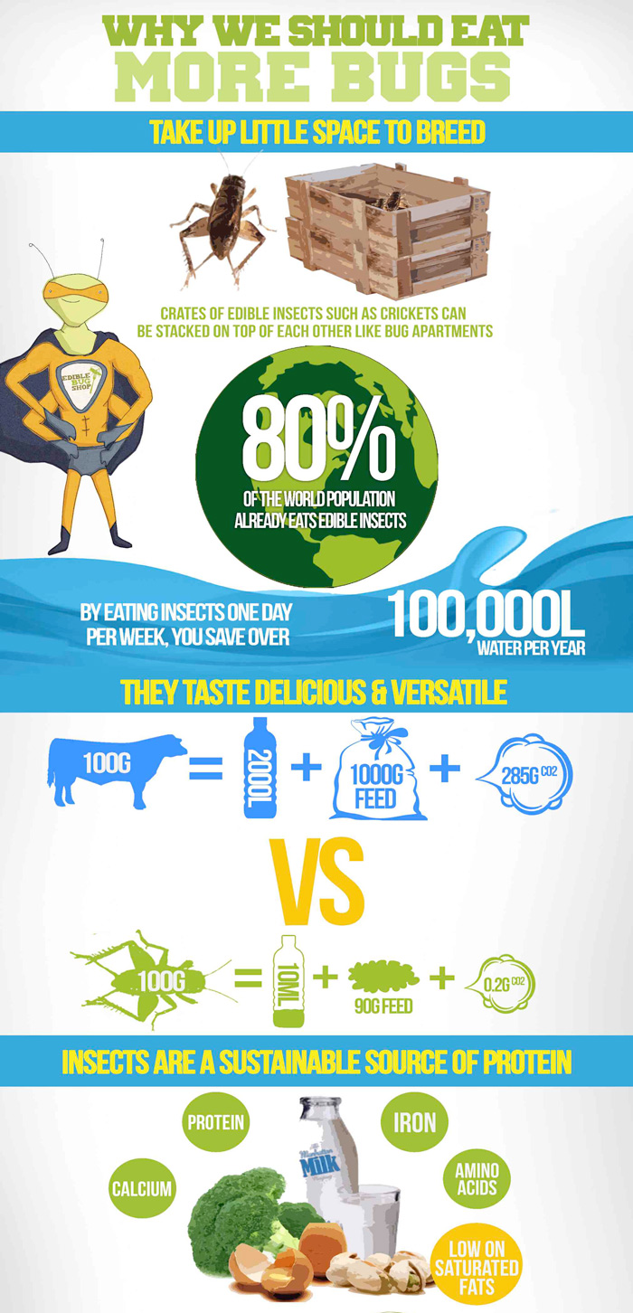 10 Interesting Facts about Insects as Food for People