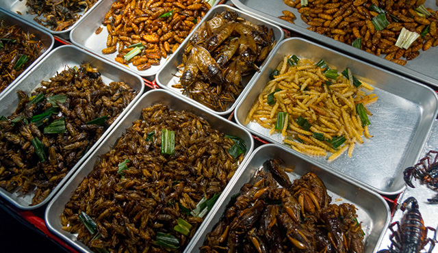 Insects-as-food
