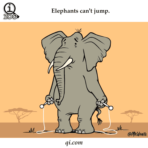 Animal Facts You Never Knew