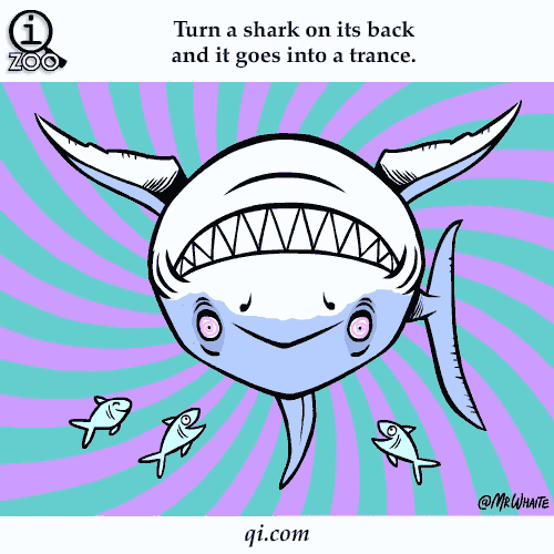 Animal Facts You Never Knew