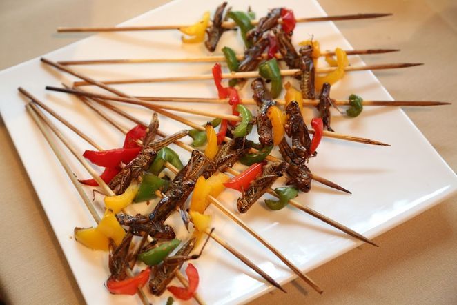 insects-as-food2