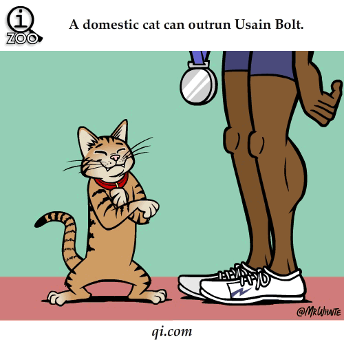 Animal Facts You Never Knew