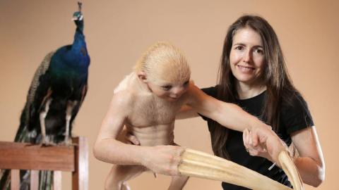 patricia-piccinini-900x506
