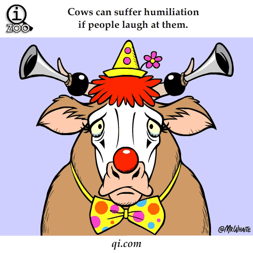 Animal Facts You Never Knew