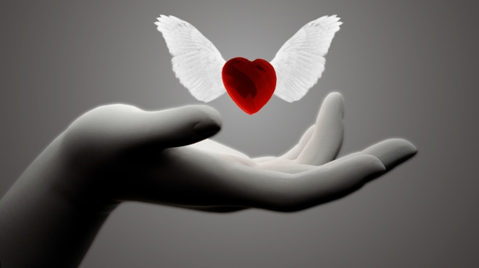 Forgiveness-and-Freedom