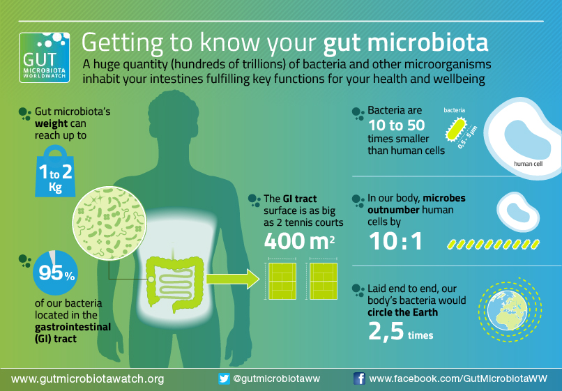 MicrobiotaGraphic