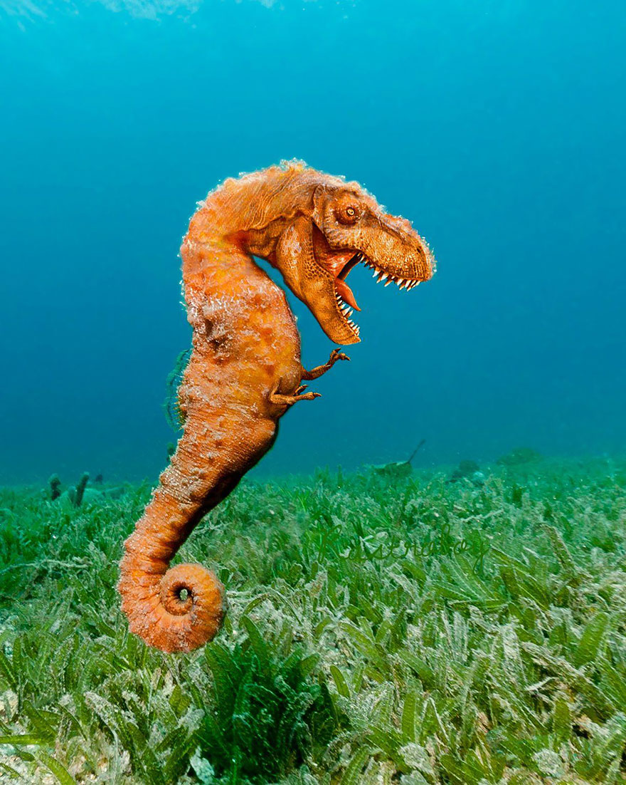 animal-hybrids-132