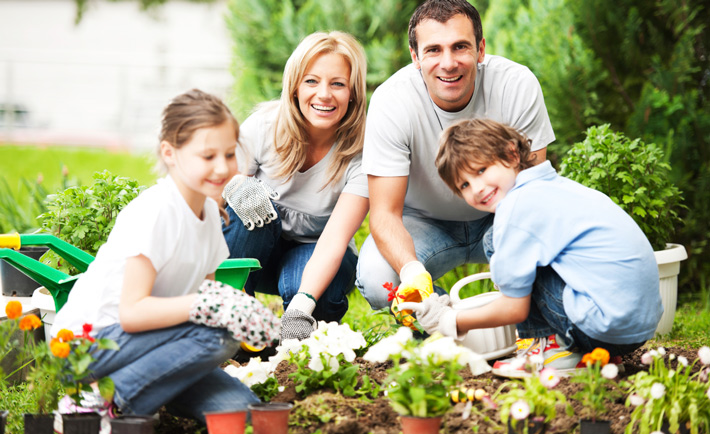 home-health-food