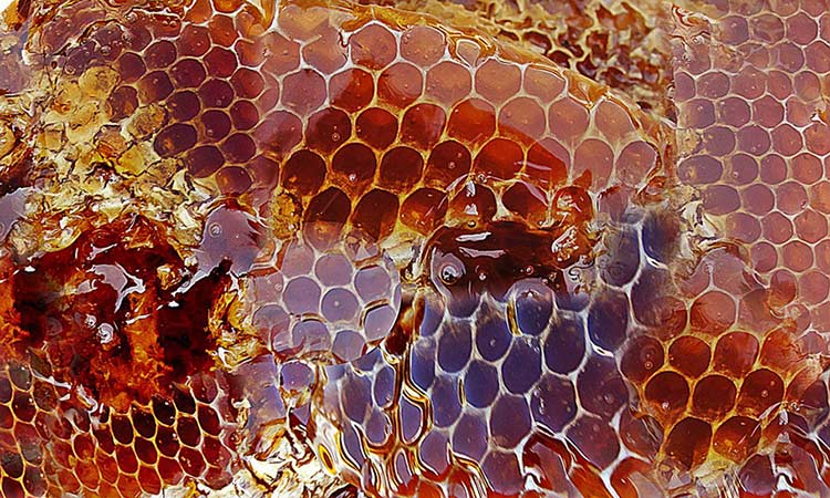 honey