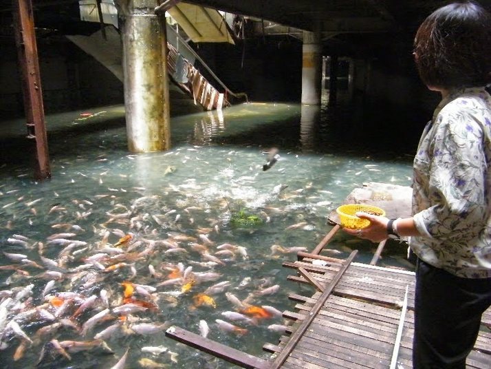 abandoned-shopping-mall-bangkok-9