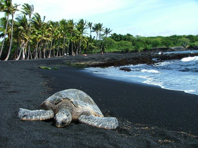 black-sand-beach
