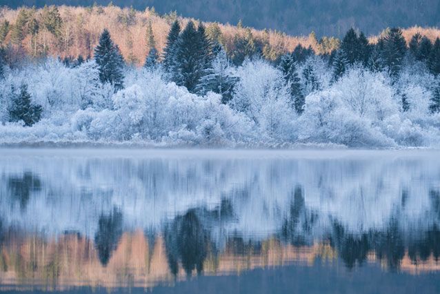 freezing-fog