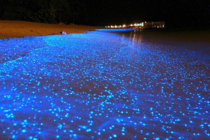 maldives-beach