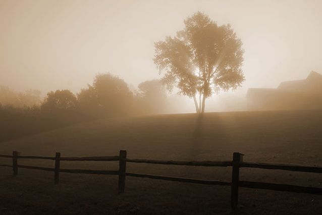 radiation-fog
