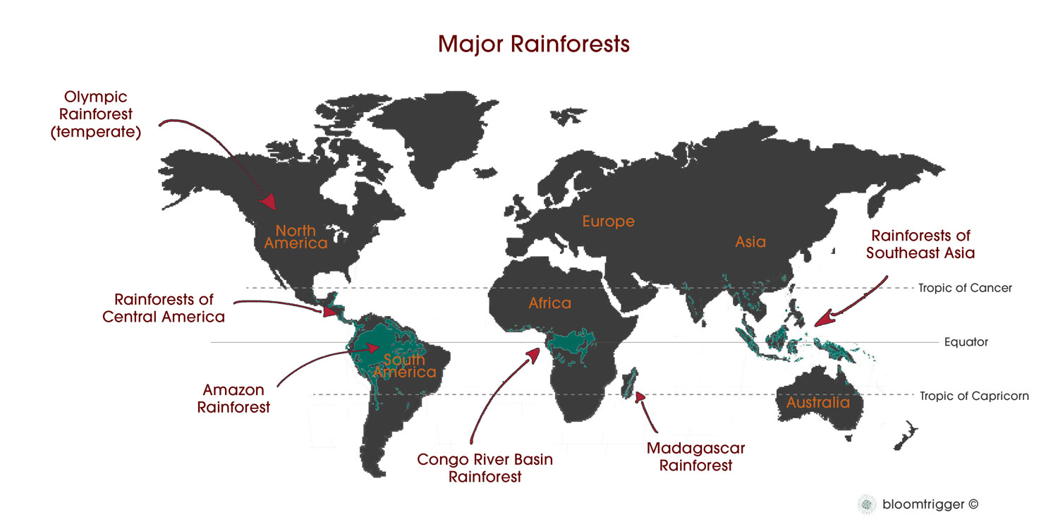 world-map-major-rainforest