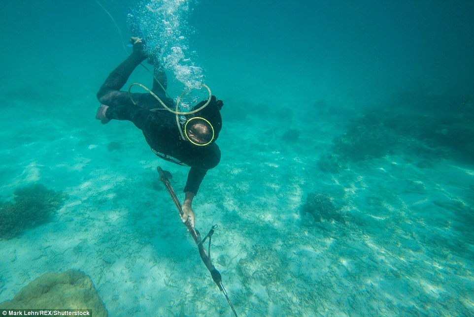 bajau7