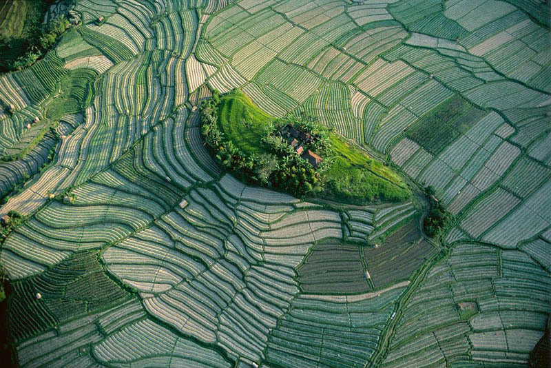 islet-in-the-terraced-rice-fields-of-bali-indonesia