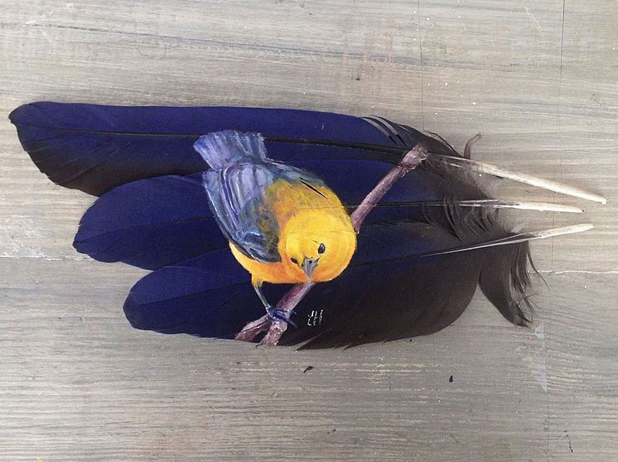 oil-acrylic-paintings-parrot-feathers-jamie-homeister-2