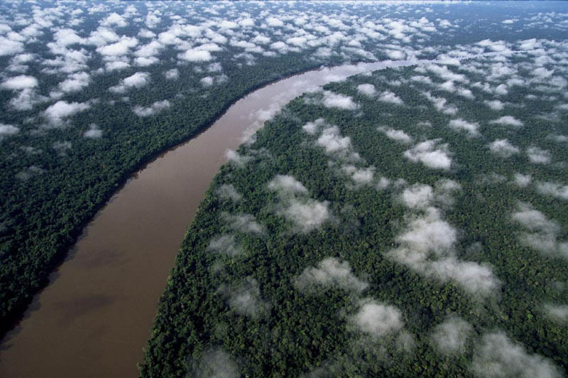 the-orinoco-river-near-the-esmeralda-amazon-rain-forest-amazonas-region-venezuela