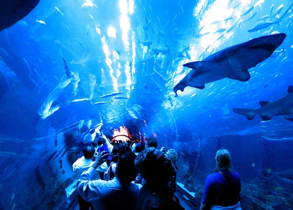 Dubai aquarium
