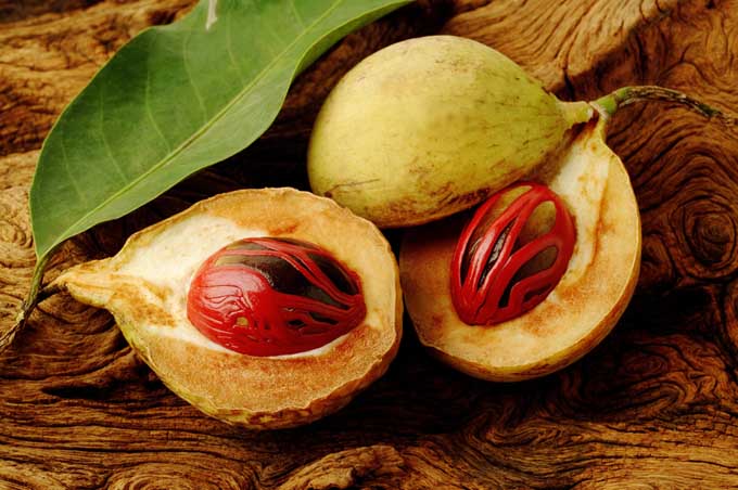 nutmeg