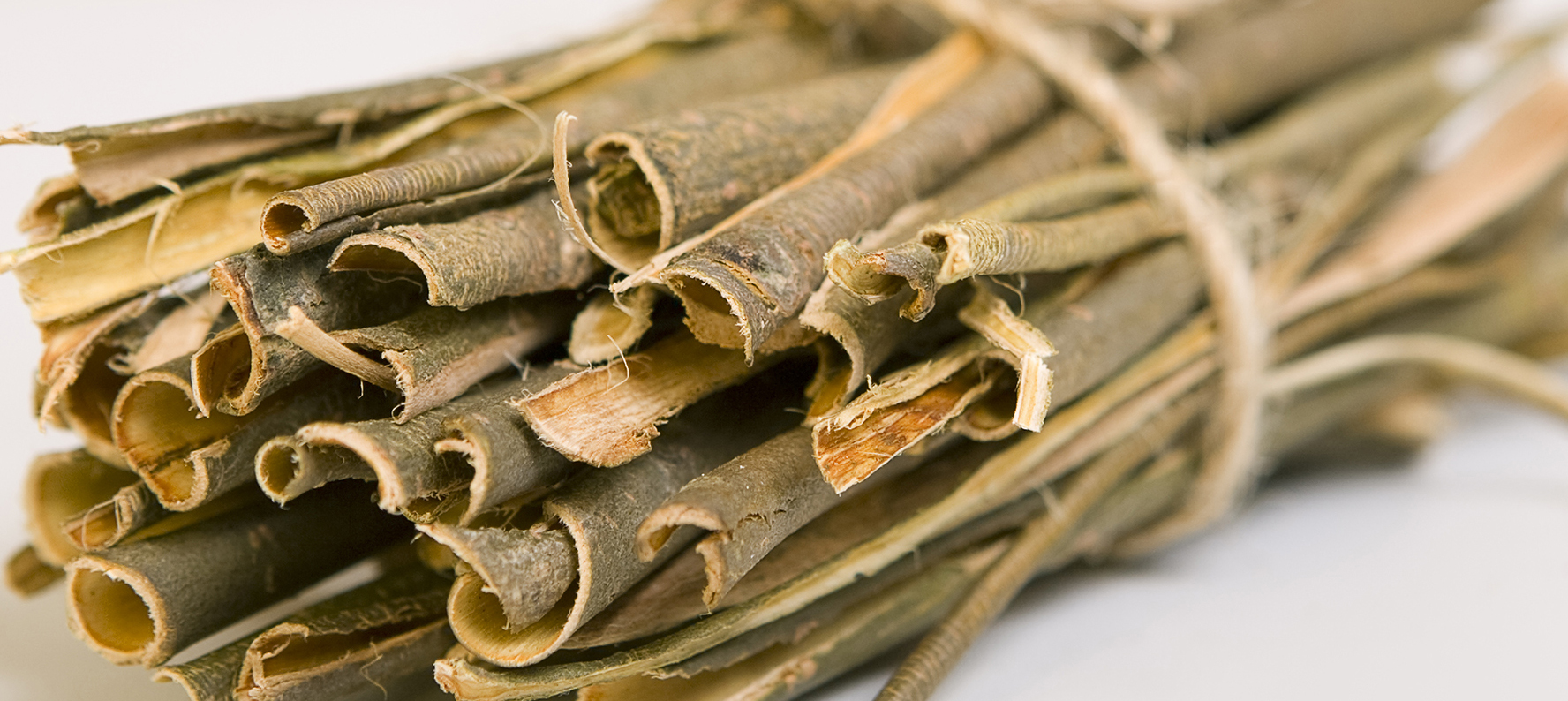 white-willow-bark-salix-alba