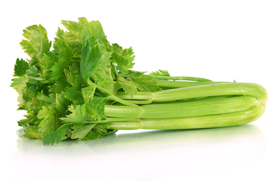 celery-isolated-on-52080031