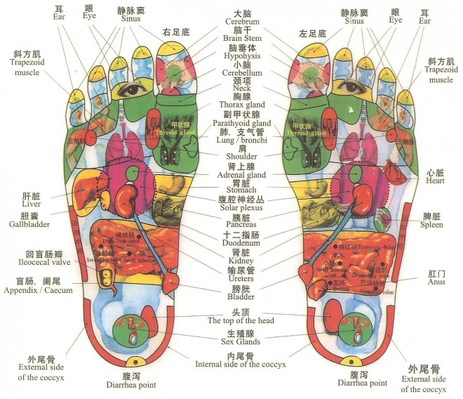 foot-reflexology-660x568