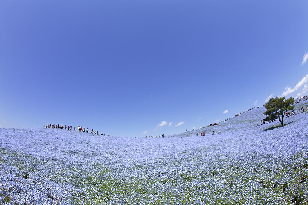 Photography by Hidenobu Suzuki