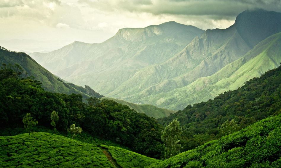Image Credit - Vidhu S