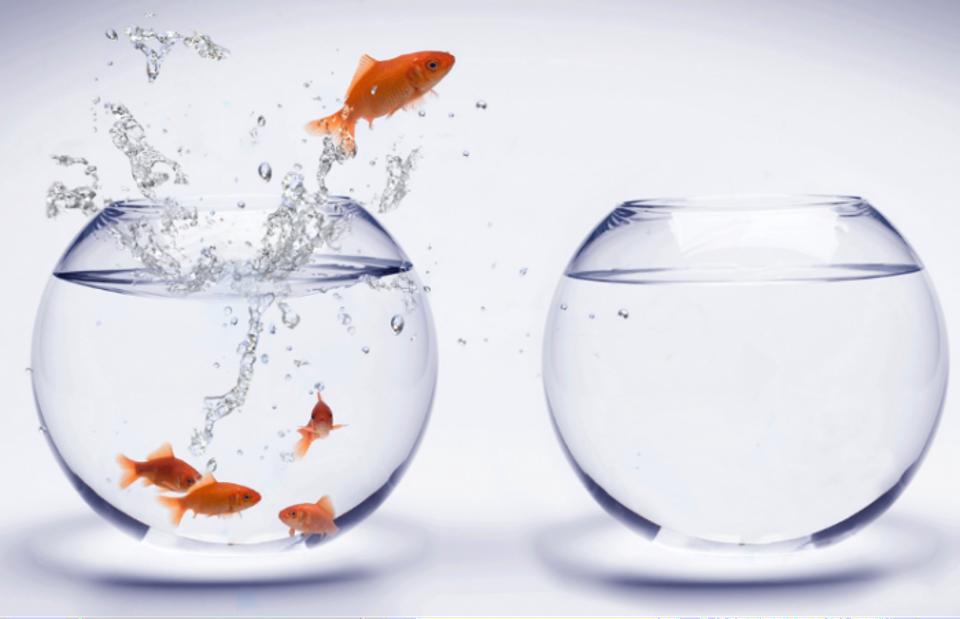 how-to-get-out-of-your-comfort-zone-e1451425107124