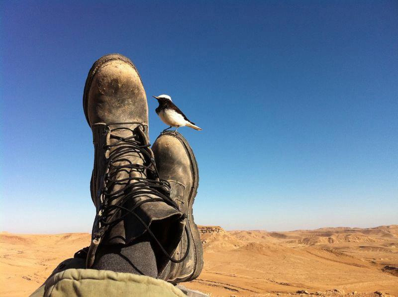 israel-soldier-travel-story-reflection