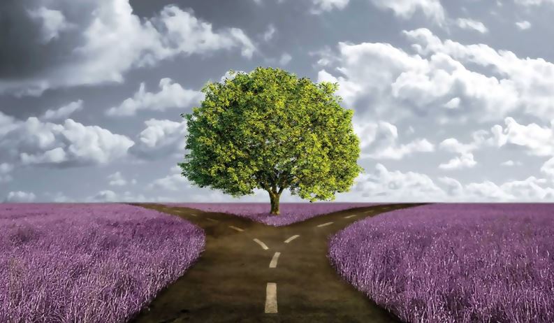 karma-tree-path