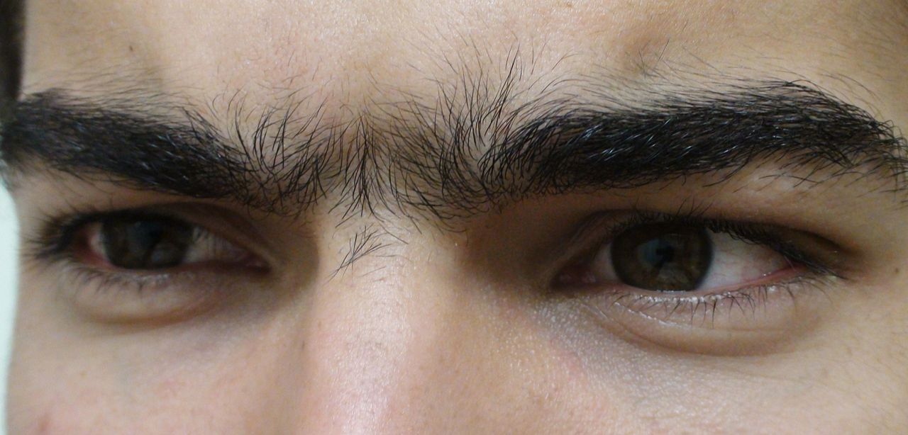 Unibrow Close Up