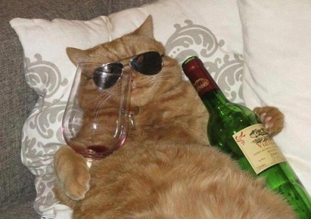 Always drunken