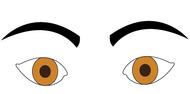 High Eyebrows