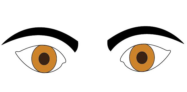 Low Eyebrows