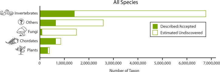 Species Count Estimation