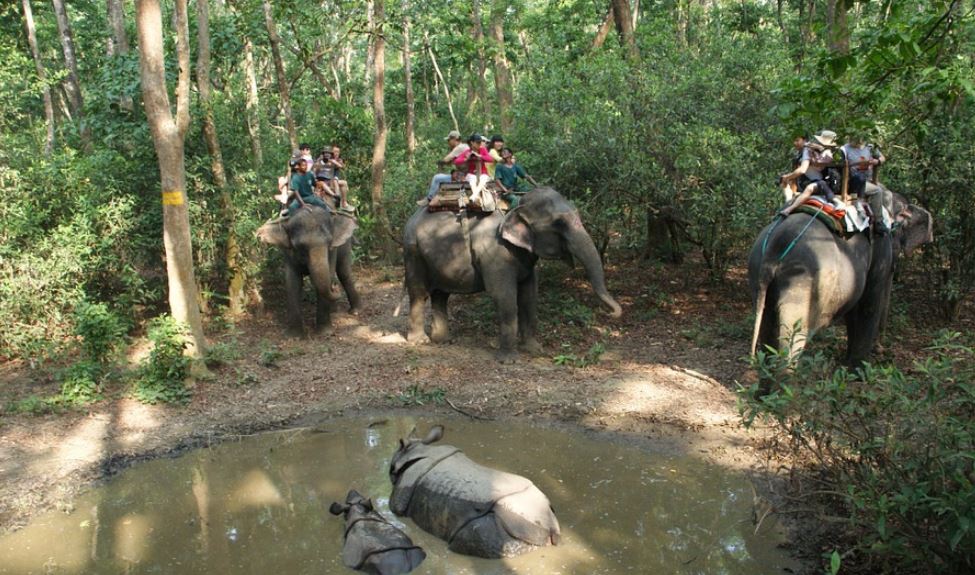 Wildlife in Nepal